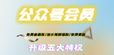 公众号大会员（年费）